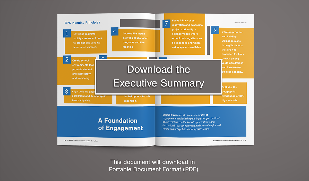 Download the Executive Summary